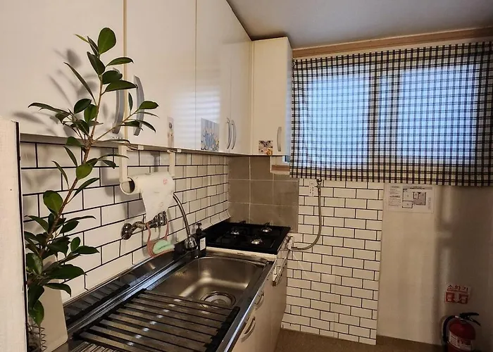 Pupu House Ngam Branch Hongdae Myeongdong Cost-effective Station Area アパート