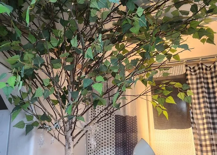 Pupu House Ngam Branch Hongdae Myeongdong Cost-effective Station Area Apartment Seoul