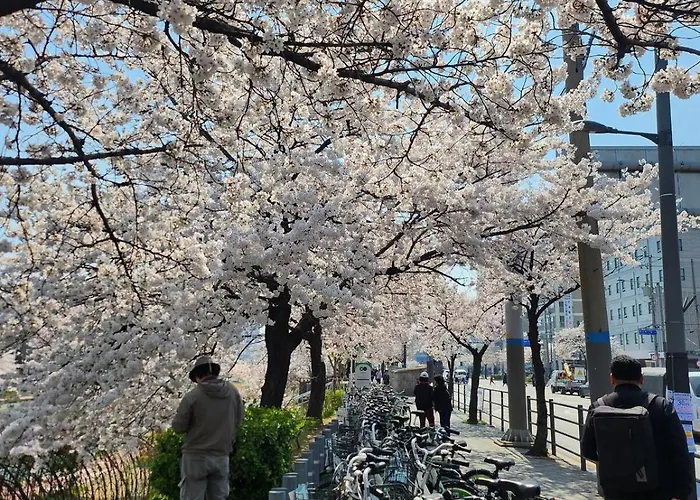 Apartment Pupu House Ngam Branch Hongdae Myeongdong Cost-effective Station Area Seoul